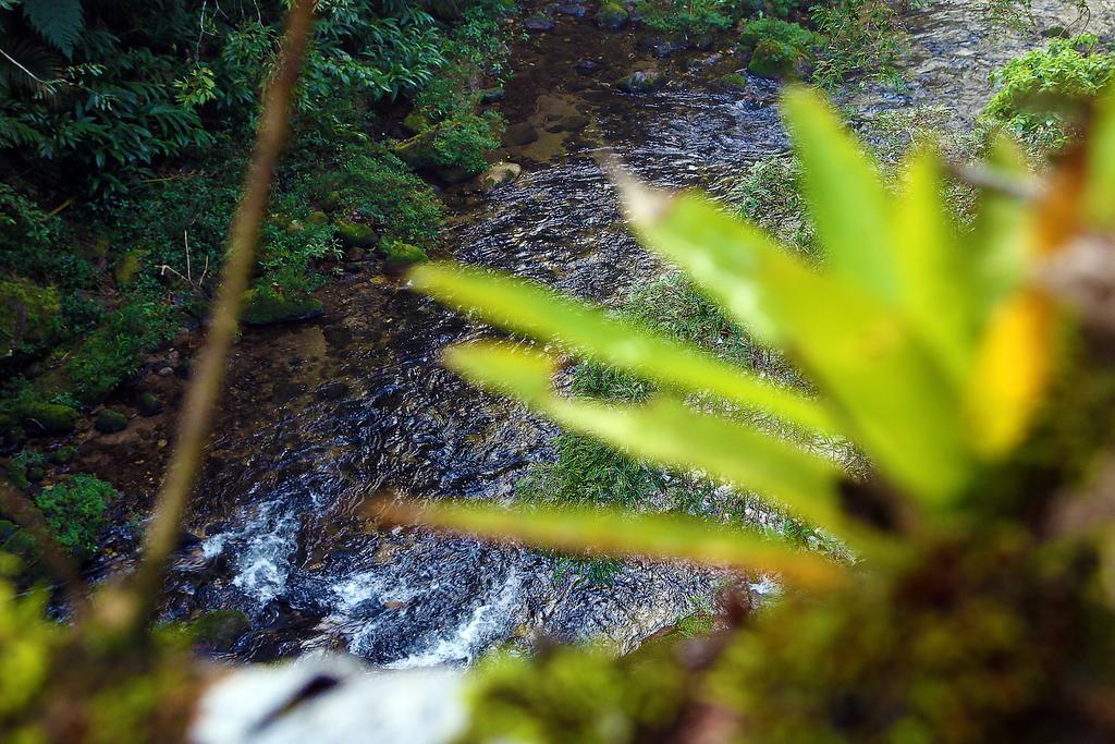 מלון נובה פריבורגו Refugio Ecologico Amadamata מראה חיצוני תמונה
